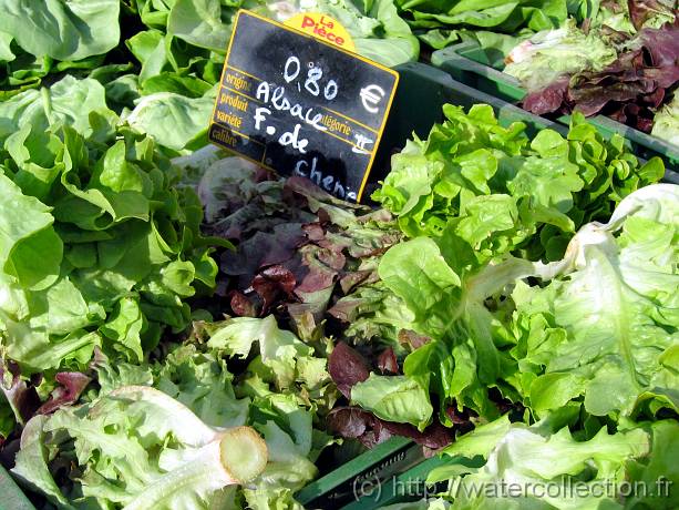 2007-05-12_08-40-15_Mai_55,1mm_1_500_eme_Canon PowerShot A95 